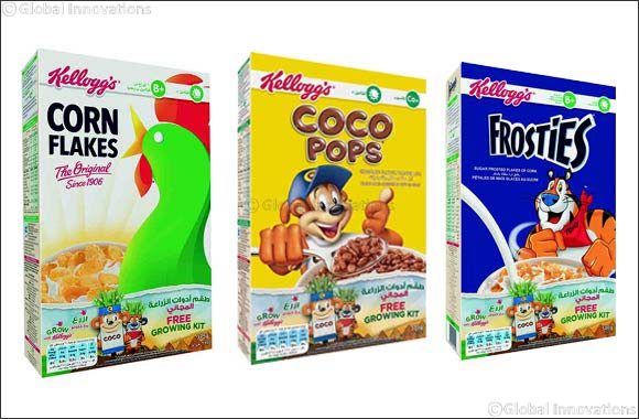 An Exploration of the Journey of Kellogg's Cereals From the Field to Your Family Breakfast Table